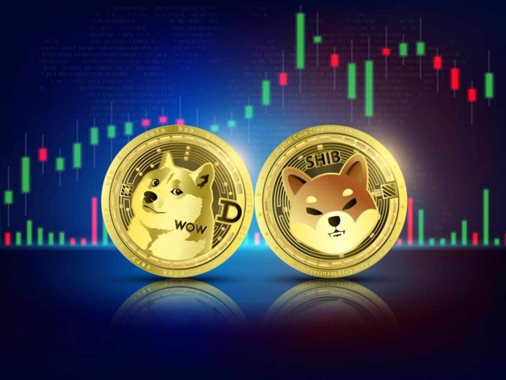 Dogecoin, Shiba Inu, Dogwifhat Among Top Picks For This Researcher’s ‘Meme Coin Supercycle’ Thesis