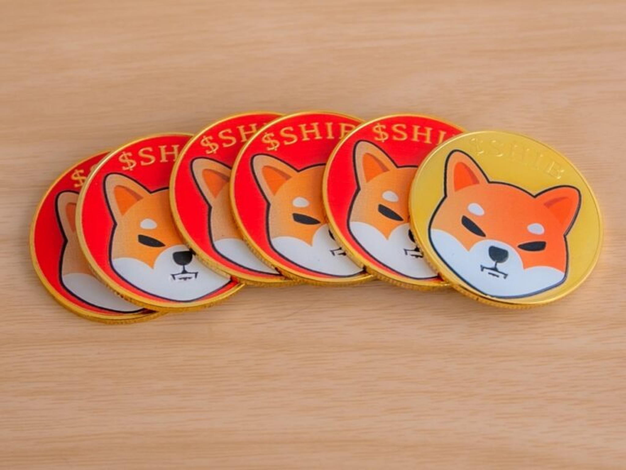 Shiba Inu Burn Rate Spikes 1,083% As Key Metrics Climb: What Is Going On?