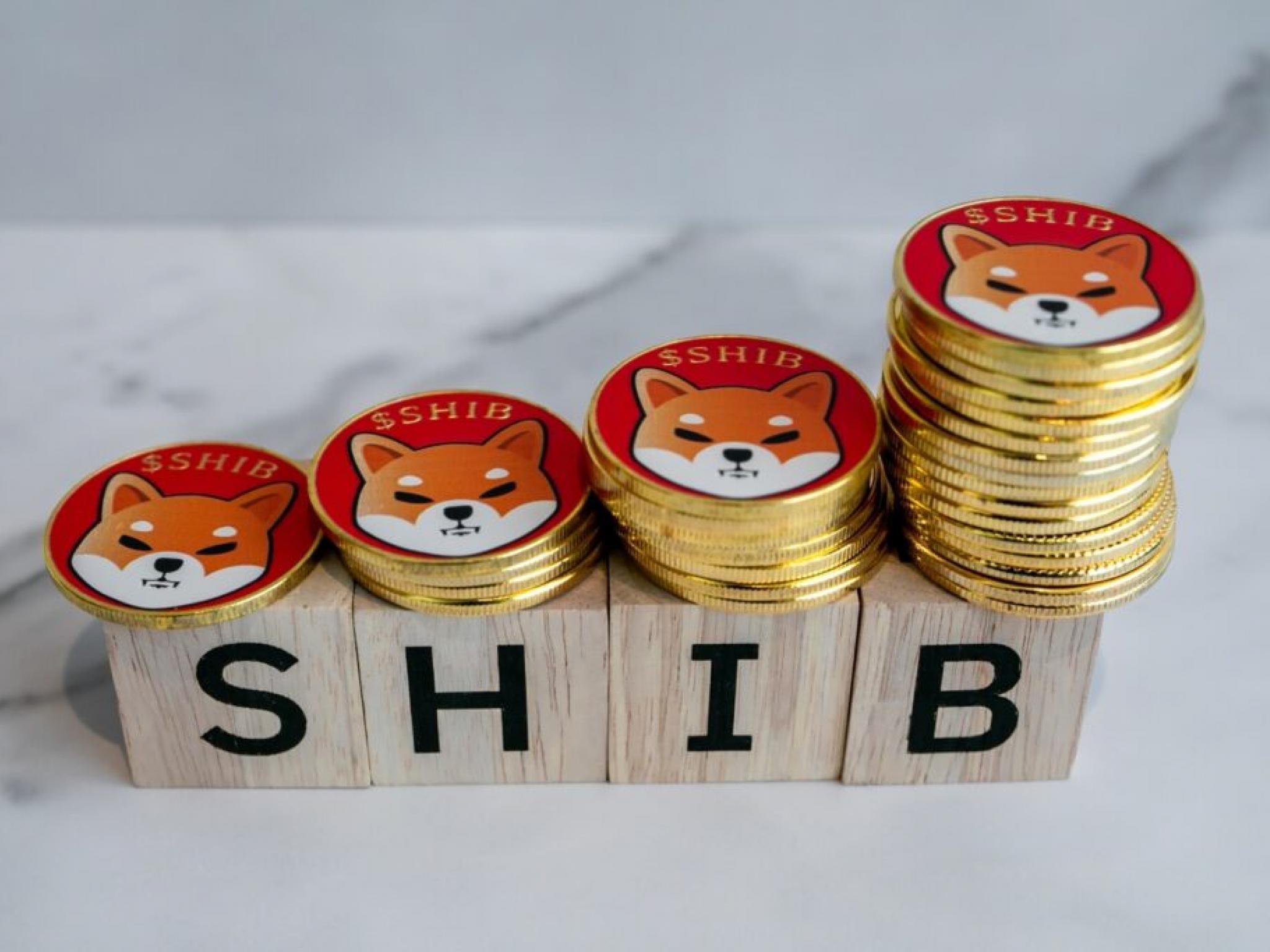 Shiba Inu Burns 46 Million SHIB In Single Day: What Is Going On?