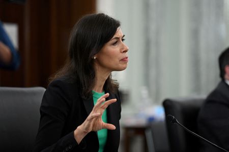 US law on domestic abuse should cover carmakers, FCC chair says